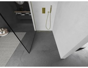 Mexen Kioto L, sprchová zástena Walk-In 50 x 200 cm, 8mm číre sklo čierny vzor, zlatý lesklý profil,800-050-103-50-70