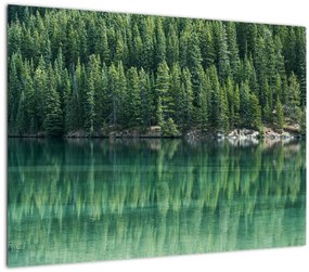 Obraz - Ihličnany pri jazere (70x50 cm)