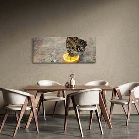 Obraz motýľa (120x50 cm)