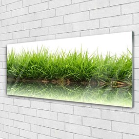 Obraz na akrylátovom skle Tráva voda príroda rastlina 125x50 cm