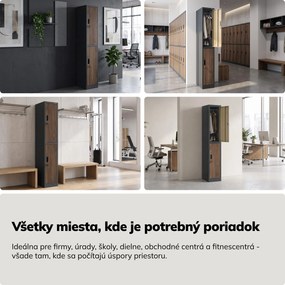 Šatníková skriňa BHP, zamestnanecká, jednotlivá, 2 priehradky s tyčou, antracitová/orech, 316,5x1850x450 mm: IGOR 1 Plus Eco Design