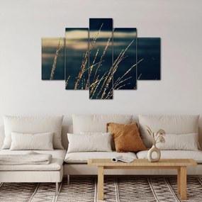 Obraz tráv (150x105 cm)