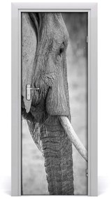 Samolepiace fototapety na dvere slon 75x205 cm