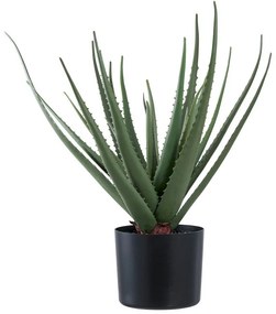 Umelá rastlina (výška 51 cm) Aloe Vera – House Nordic