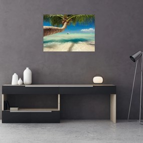 Sklenený obraz - Čisté more s palmou (70x50 cm)