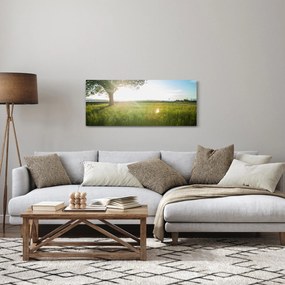 Obraz letnej lúky (120x50 cm)