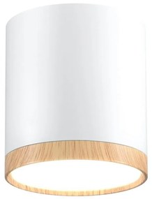 LED Stropné svietidlo TUBA LED/5W/230V biela/béžová