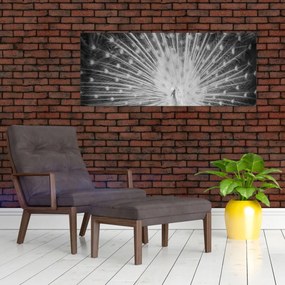 Obraz - Biely páv (120x50 cm)