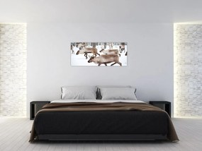 Obraz - Soby (120x50 cm)
