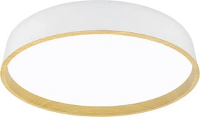 XXXLutz STROPNÉ LED SVIETIDLO, 50/8 cm - Interiérové svietidlá - 004182003802