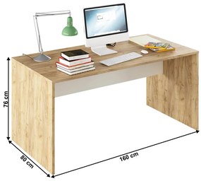 Tempo Kondela Písací stôl, dub artisan/biela, RIOMA TYP 16