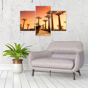 Obraz - Západ slnka v uličke Baobab (90x60 cm)