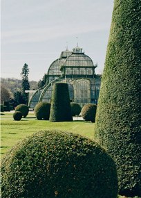 The Poster Club Plagát Topiary by Laura Short 30x40