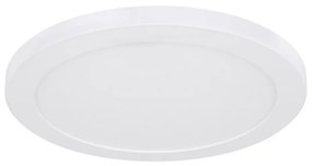 Globo 12379-24W - LED Stropné svietidlo LASSE LED/24W/230V