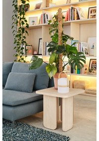 Odkladací stolík s jaseňovou dýhou Teulat Arq