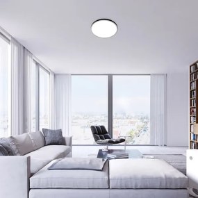 Rabalux 2290 - LED RGB Stmievateľné stropné svietidlo RASMUS LED/22W/230V + DO