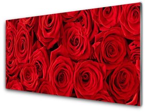 Sklenený obklad Do kuchyne Ruže kvety rastlina 140x70 cm