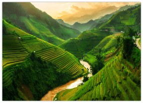 Obraz - Ryžové terasy Mu Cang Chai (70x50 cm)