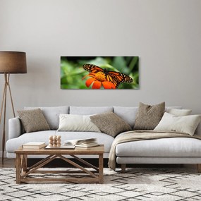 Obraz motýľa na kvetine (120x50 cm)