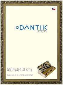 DANTIK rám na obraz 59,4x84 | Claico 2 (zlato ořechy) (Plexi Čiré)