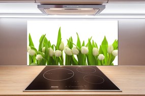 Panel do kuchyne Biele tulipány pksh-40774643