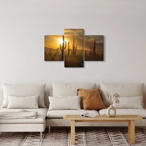 Obraz - Kaktusy Saguaro (90x60 cm)