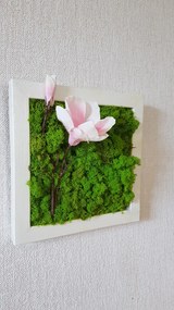Machový obraz v bielom ráme 33cm x 33cm