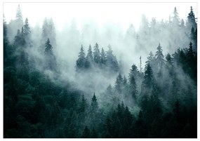 Samolepiaca fototapeta Mountain Forest