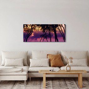 Obraz - Stromy pri západe slnka (120x50 cm)