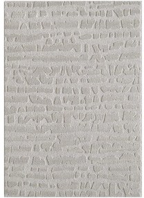 Koberec Alba 1,33/1,9 FR2522 sivý