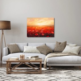 Obraz - Pole vlčích makov (70x50 cm)