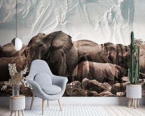 Gario Fototapeta Slony v stáde Materiál: Vliesová, Rozmery: 250 x 175 cm