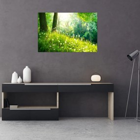 Obraz - Magická lúka plná púpav (90x60 cm)