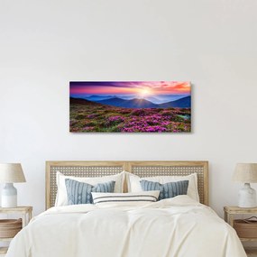 Obraz - Horská rozkvitnutá krajina (120x50 cm)
