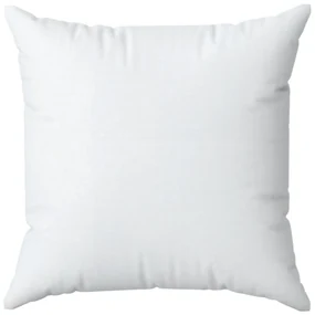 SATÉNOVÁ OBLIEČKA NA VANKÚŠ DINA 40X40 CM BIELA