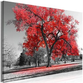 Artgeist Obraz - Autumn in the Park (1 Part) Wide Red Veľkosť: 90x60, Verzia: Premium Print