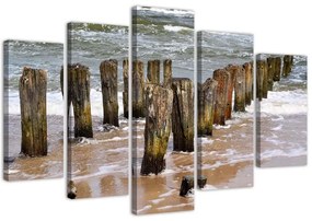 Obraz na plátně pětidílný Příroda na mořské pláži - 100x70 cm