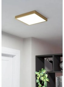 Eglo 900184 - LED stropné svietidlo FUEVA LED/20,5W/230V