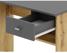 Písací stôl RICO dub artisan/sivá