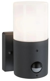 Paulmann 94648 - 1xE27/15W IP44 Vonkajšie nástenné svietidlo so senzorom TUBS 230V