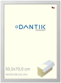 DANTIK rám na obraz 50x70 | WOODLINE bílá (Plexi Čiré)