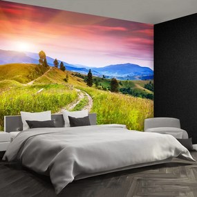 Fototapeta Vliesová Kvetnaté kopca 104x70 cm