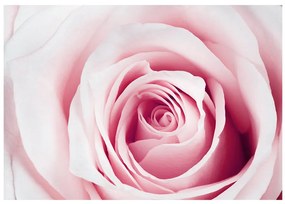 Artgeist Fototapeta - Rose maze Veľkosť: 150x105, Verzia: Standard