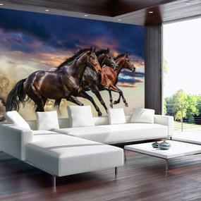 Fototapeta - Kôň (254x184 cm)