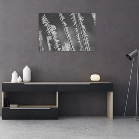 Obraz - Mrazivá zima (90x60 cm)