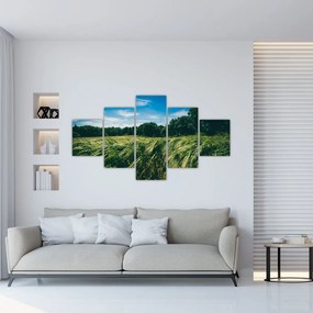 Obraz lúky a lesa (125x70 cm), 40 ďalších rozmerov