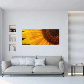 Obraz - Slnečnica (120x50 cm)