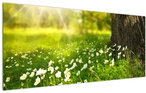 Obraz paseky a kvetín (120x50 cm)
