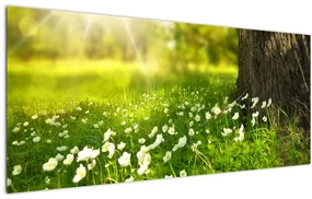 Obraz paseky a kvetín (120x50 cm)