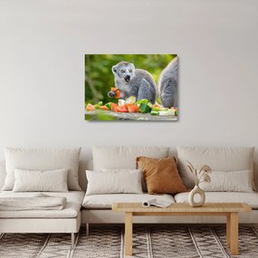 Sklenený obraz lemura (70x50 cm)